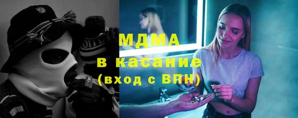 индика Вязьма